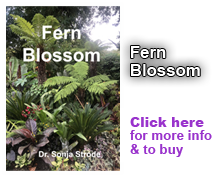 Fern Blossom